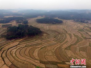 環(huán)保部原則通過農(nóng)用地土壤環(huán)境管理辦法草案，推動環(huán)境治理新階段